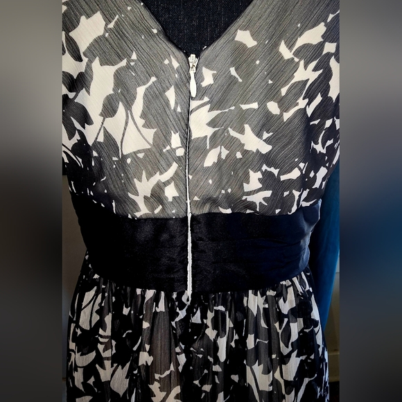 ๐ MAX AND CLEO SHEER LINED BLACK AND IVORY FORMAL SZ 10 LIKE NEW ๐ - Picture 4 of 8